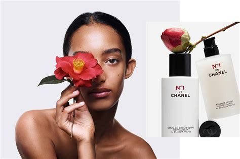 n 1 chanel recensioni|no 1 de chanel reviews.